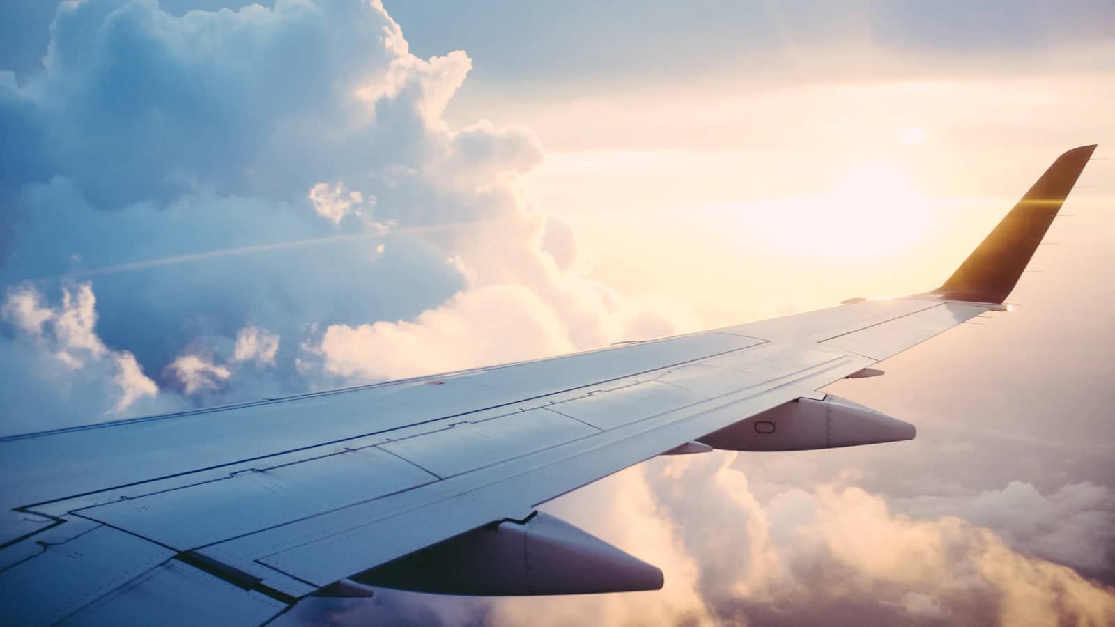 Travel, Hospitality & Logistics - Dollu solutions